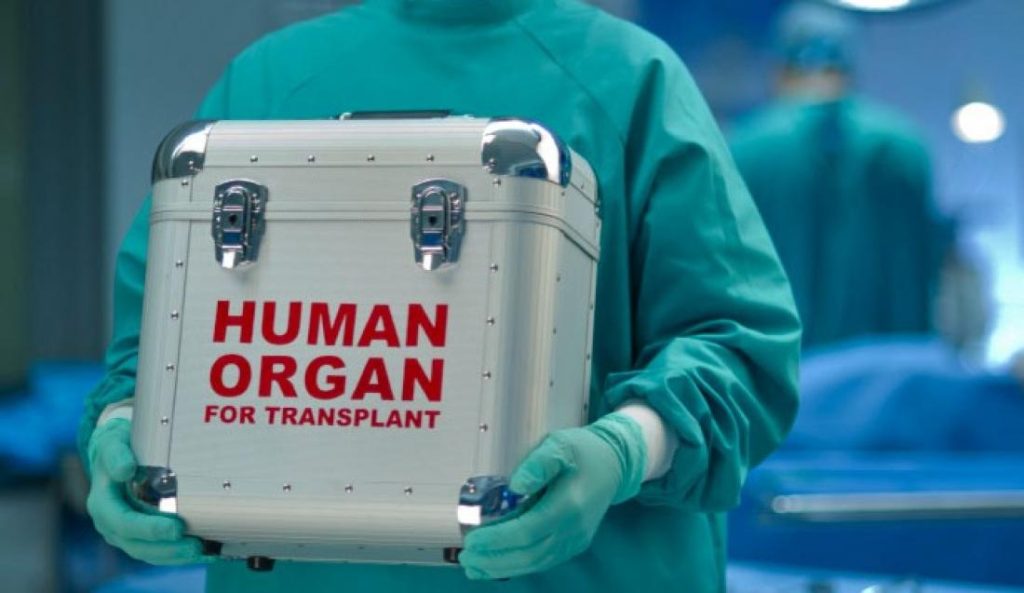 Νέα έρευνα υποστηρίζει πως σε λίγα χρόνια θα γίνεται μεταμόσχευση καρδιάς από χοίρο σε άνθρωπο