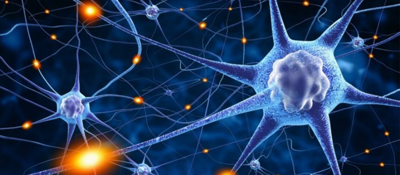 Έλληνες επιστήμονες ανατρέπουν την υπάρχουσα θεωρία για τα εγκεφαλικά κύτταρα