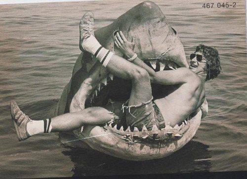 Οι επιθέσεις καρχαριών που ενέπνευσαν τον Σ.Σπίλμπεργκ στα «Σαγόνια του καρχαρία» – Οι 5 πιο τρομακτικές επιθέσεις!