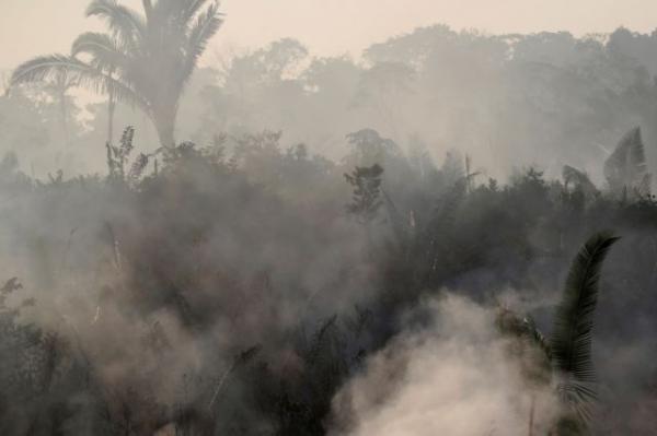 Aμαζόνιος: Τεράστια η καταστροφή από τη φωτιά – Απίστευτες εικόνες (φωτο-βίντεο)
