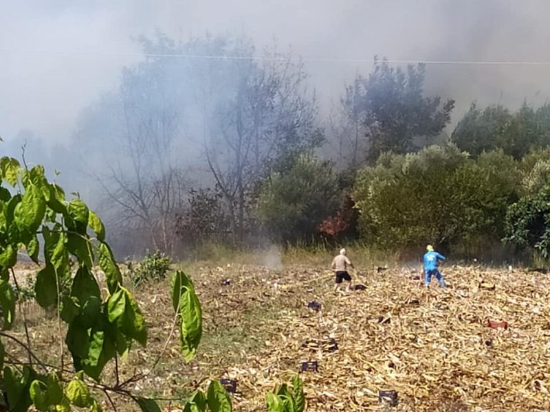 Περιορίστηκε η φωτιά στην Κέρκυρα – Επιστρέφουν στα σπίτια τους οι κάτοικοι (upd, φωτό, βίντεο)