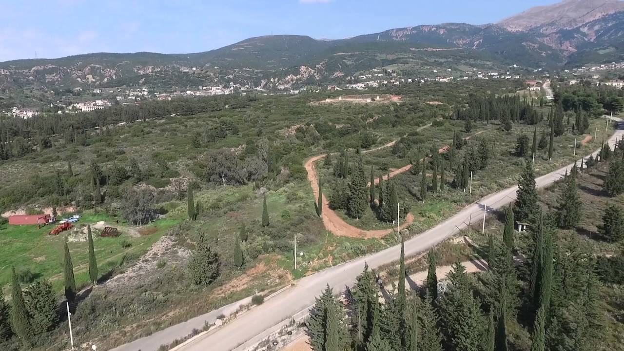 Το δασάκι στην Πάτρα που έκρυβε ένα παράξενο μυστικό – Κανείς δεν μπορούσε να το υποψιαστεί (φωτο)