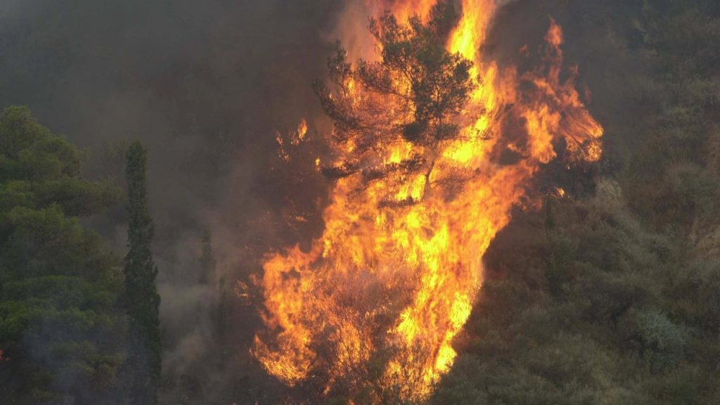 Φωτιά στα Τσουκαλαίικα Μεσσηνίας