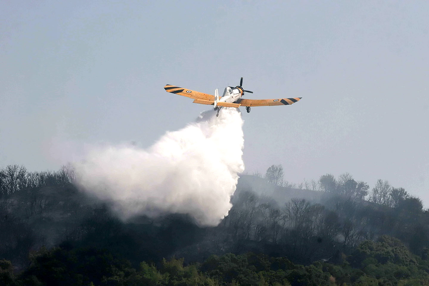 Πυρκαγιά στο Πεταλίδι Μεσσηνίας – Τρία PZL από την 120ΠΕΑ στη μάχη με τις φλόγες
