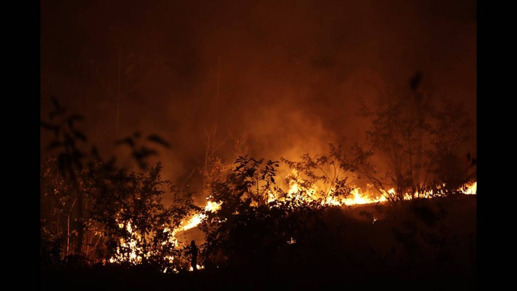 Φωτιές στον Αμαζόνιο: Η Βραζιλία αρνείται επίσημα την βοήθεια των 20 εκατ.δολαρίων της G7