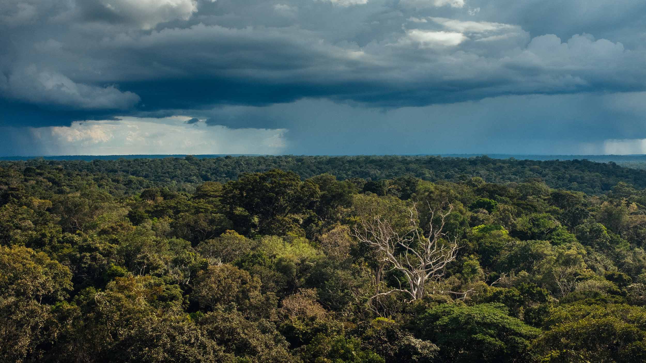 Πώς χρησιμοποιούν τις συνήθεις πυρκαγιές στον Αμαζόνιο για να επιβάλλουν νέους φόρους για το κλίμα