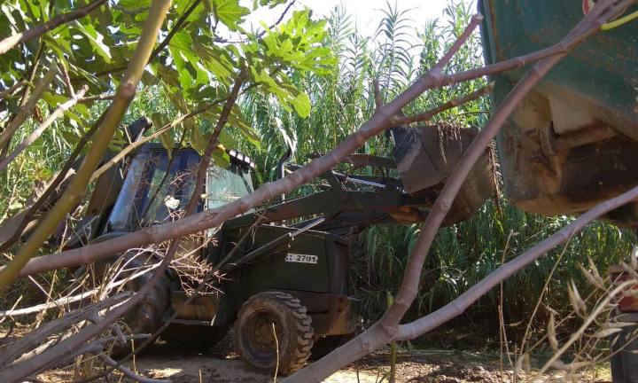 Γιατι στρατιωτικές μπουλντόζες ξηλώνουν μπασκέτες