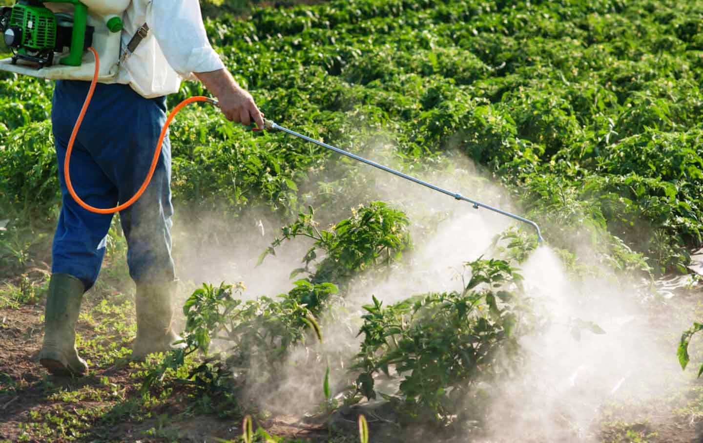 Η Γερμανία απαγορεύει από το 2023 την ύποπτη για την πρόκληση καρκίνου γλυφοσάτη