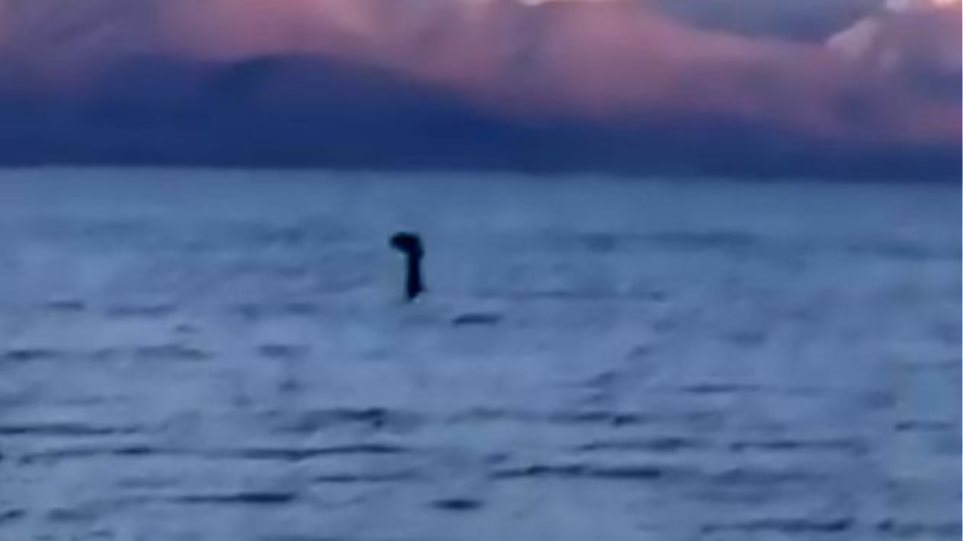 Tι μπορεί να ήταν τελικά το τέρας του Λοχ Νες; – Τι δείχνουν οι έρευνες;