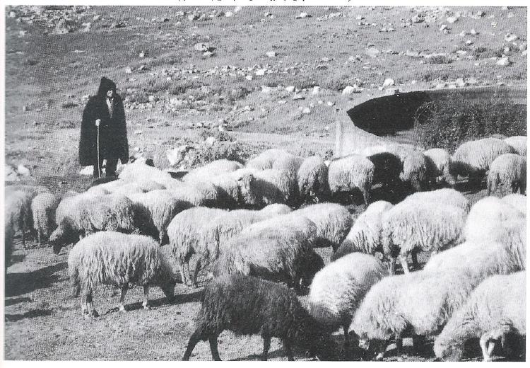 Πώς προέκυψε η φράση: Κι o Άγιoς φoβέρα θέλει