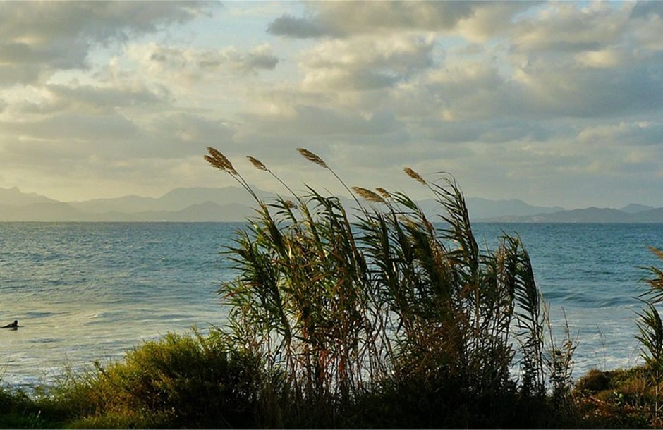 Καιρός: Συνεχίζονται οι υψηλές θερμοκρασίες στη χώρα το Σαββατοκύριακο – Ισχυρά μελτέμια στο Αιγαίο