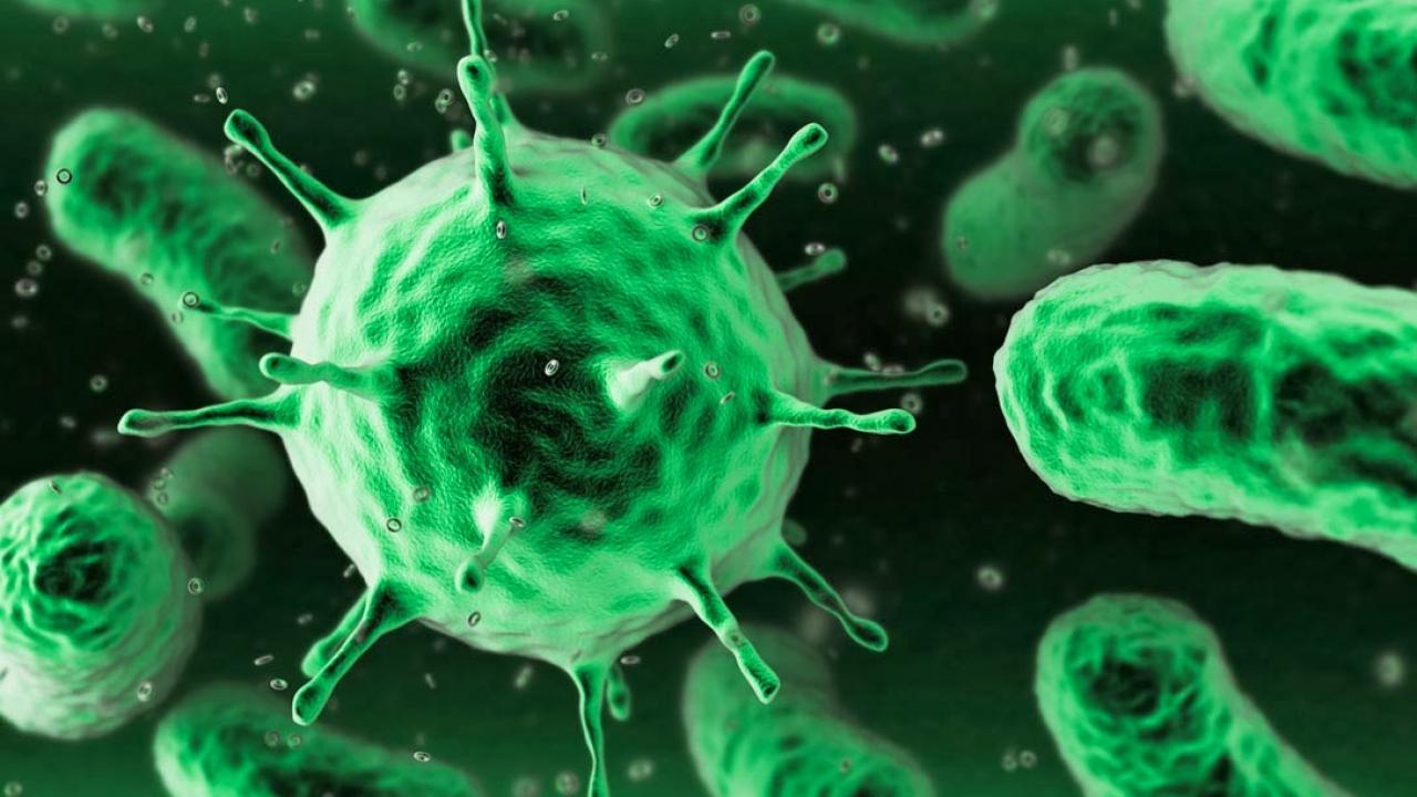 Τα έξυπνα κύτταρα που θα εξοντώνουν τον καρκίνο έρχονται και στην Ελλάδα