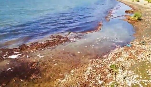 Κοκκίνισε η θάλασσα στο Ναύπλιο (βίντεο)