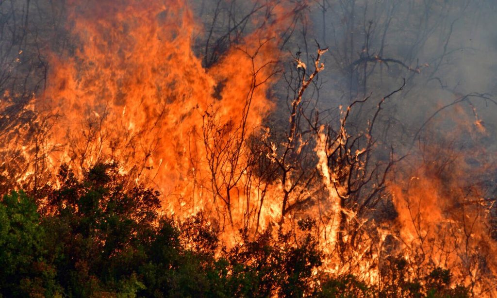 Πάνω από 1.500 πυρκαγιές εκδηλώθηκαν τον Αύγουστο – Λιγότερες οι καμένες εκτάσεις από πέρσι
