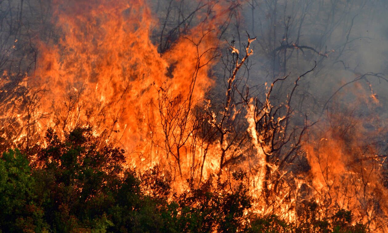 Πάνω από 1.500 πυρκαγιές εκδηλώθηκαν τον Αύγουστο – Λιγότερες οι καμένες εκτάσεις από πέρσι