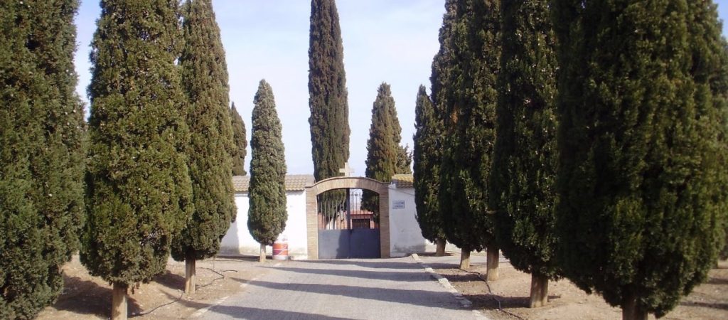 Γιατί υπάρχουν κυπαρίσσια στα νεκροταφεία