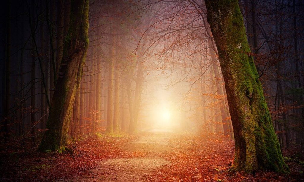 Γιατί οι νεκροί μας επισκέπτονται στα όνειρά μας;