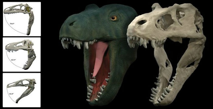 Τα πιο τρομακτικά σαγόνια που άνοιξαν στη Γη! (φωτο)