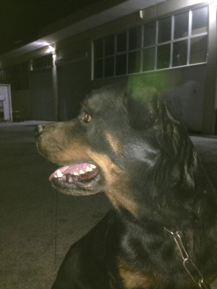 Η κατάθεση της μητέρας του άτυχου βρέφους που βρήκε φρικτό θάνατο από το ροντβάιλερ – Τι είπε η ίδια (φωτο)