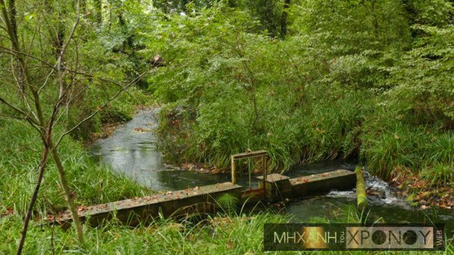 Η «μάνα του Νερού» – Το θαυμαστό μνημείο της φύσης που αναβλύζει από τα έγκατα της γης (βίντεο)