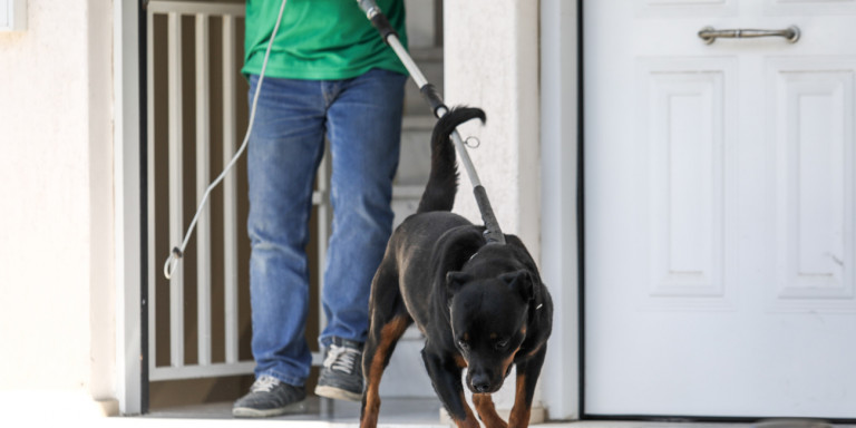Το ροντβάιλερ που σκότωσε το μωρό στα Γλυκά Νερά μεταφέρθηκε στη φιλοζωική – Θα εξεταστεί η επιθετικότητά του (φωτο)