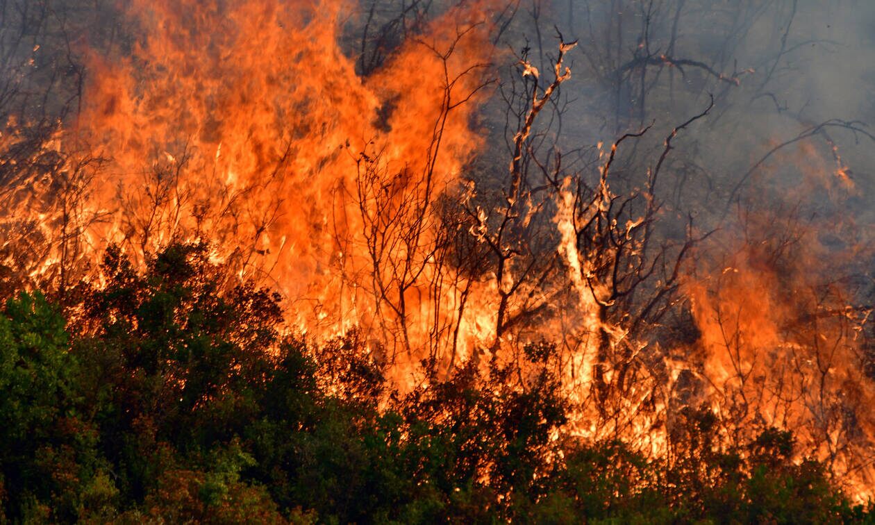 Σε εξέλιξη μεγάλη φωτιά στη Χίο – Συναγερμός στην πυροσβεστική