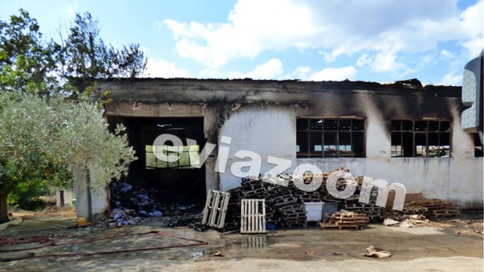 Φωτιά σε βιοτεχνία στη Χαλκίδα