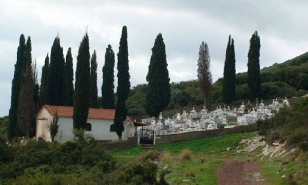 Αυτός είναι ο λόγος που όλα τα νεκροταφεία είναι γεμάτα κυπαρίσσια