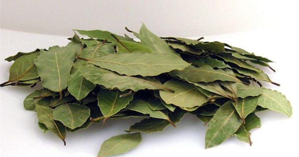 Ποιες είναι οι ευεργετικές ιδιότητες της δάφνης;