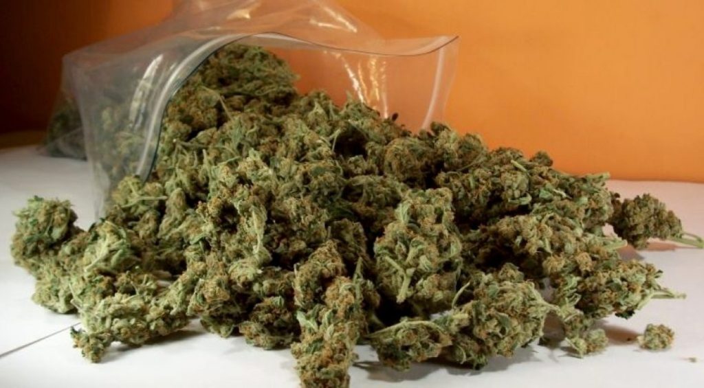 Είχαν φτιάξει εργαστήριο κάνναβης μέσα σε καφενείο του Ηρακλείου