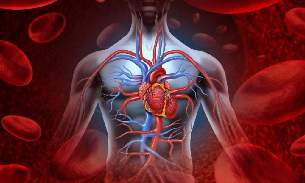 Αυτές είναι οι τροφές-«βόμβες» για την υγεία της καρδιάς και του κυκλοφορικού μας συστήματος