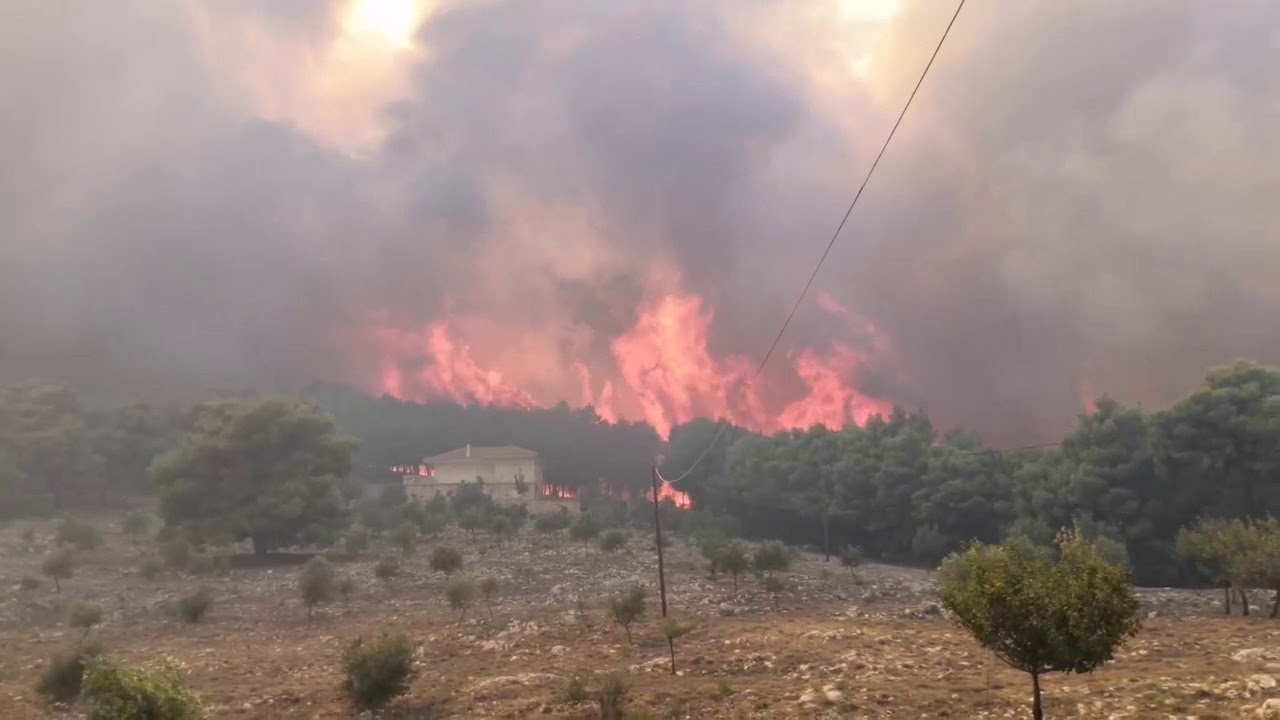 Δήμαρχος Ζακύνθου για τη φωτιά: «Είναι πολλά χιλιόμετρα τα μέτωπα – Υπάρχουν υπόνοιες για εμπρησμό» (βίντεο)