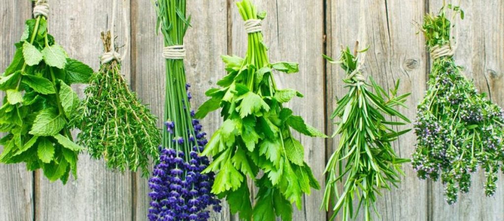 Τα οκτώ βότανα που καταπολεμούν τον διαβήτη