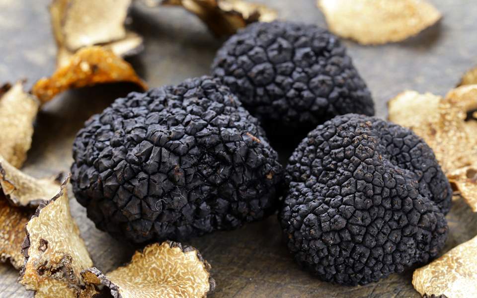 Αυτό το μανιτάρι τρούφα είχε μπει στο βιβλίο Γκίνες