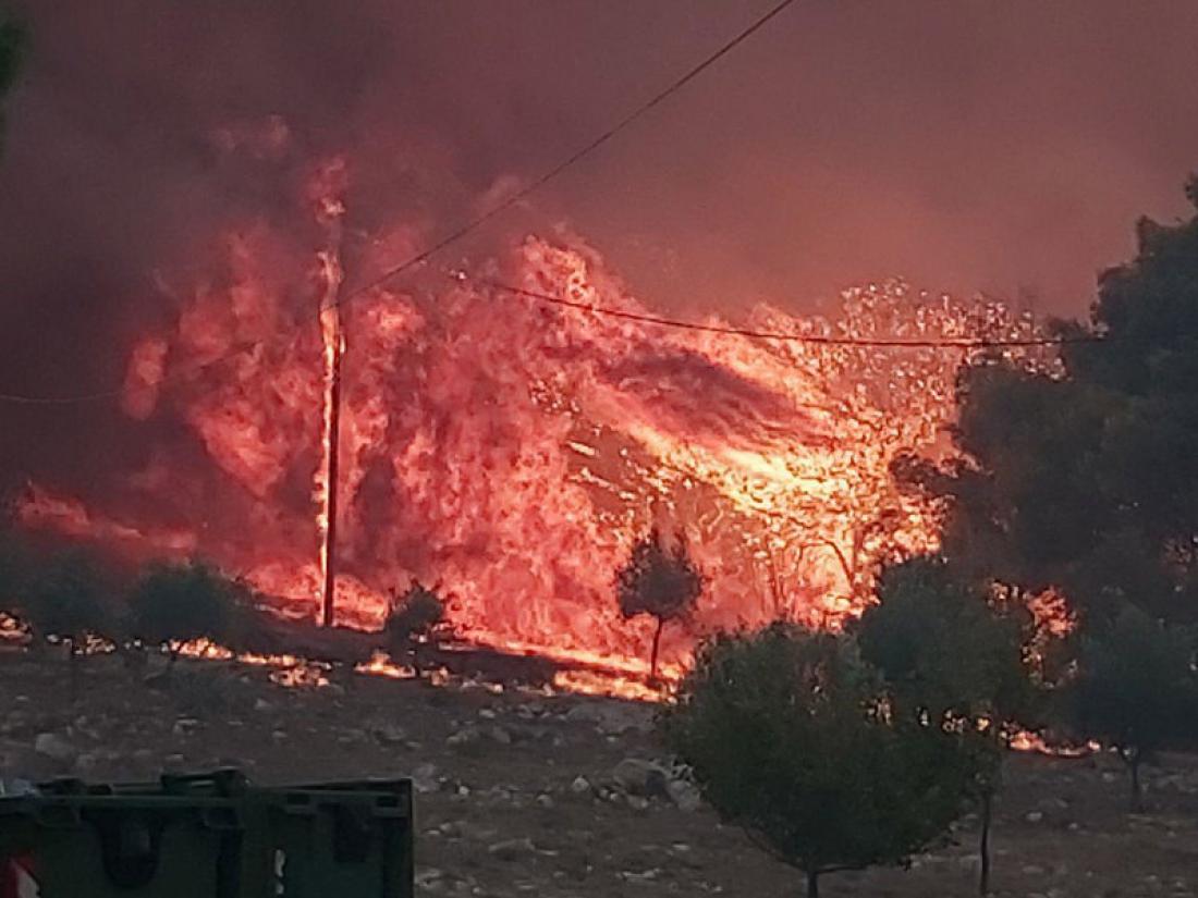 Ζάκυνθος: Ολονύχτια μάχη με τη φωτιά – Ανεξέλεγκτη η κατάσταση – Κάηκαν σπίτια (βίντεο-φωτο)