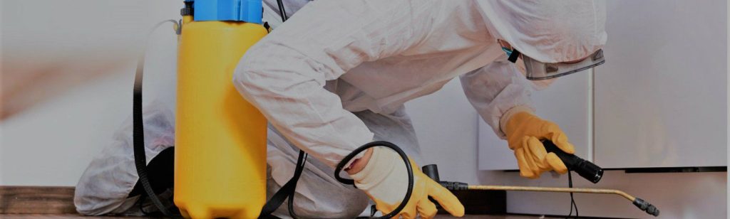 Αηδιαστικό: Μέχρι και το συνεργείο απεντόμωσης τρόμαξε – Δεν φαντάζεστε τι υπήρχε σε μια πολυθρόνα (βίντεο)