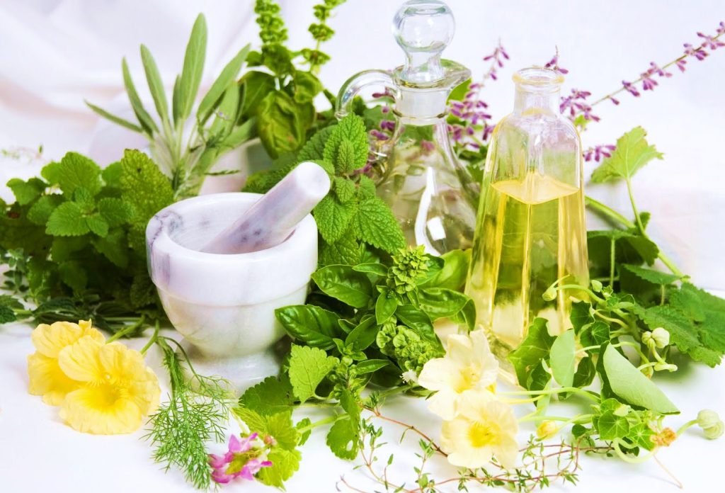 Ποιο βότανο βοηθά την μνήμη μας;