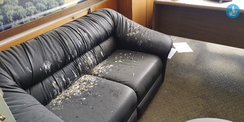 Ρόδος: Τραγικές είναι οι εικόνες από το πρώην Δημαρχείο Ιαλυσού (φώτο)