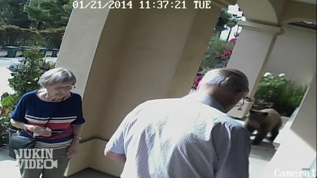 Ο… απρόσκλητος επισκέπτης (βίντεο)