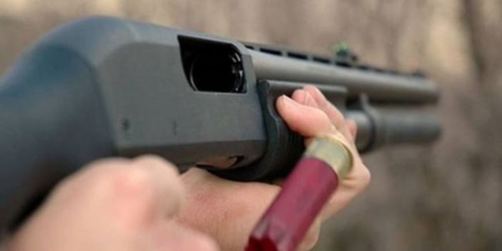 Λέσβος: Του σκότωσε τις αγελάδες για…εκδίκηση – Τις «εκτέλεσε» με όπλο