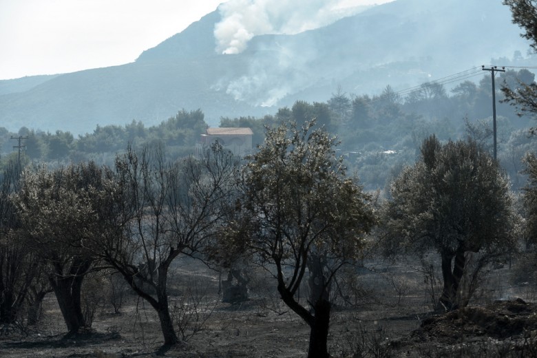 Ζάκυνθος και Λουτράκι: Πάνω από 10.000 στρέμματα η καμένη γη
