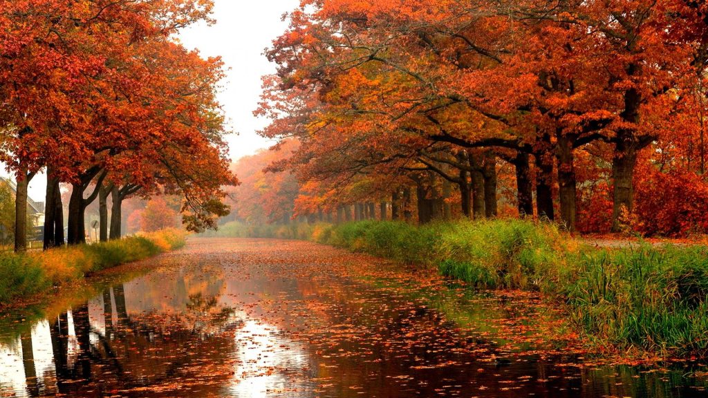 Σήμερα ξεκινά και επίσημα το φθινόπωρο