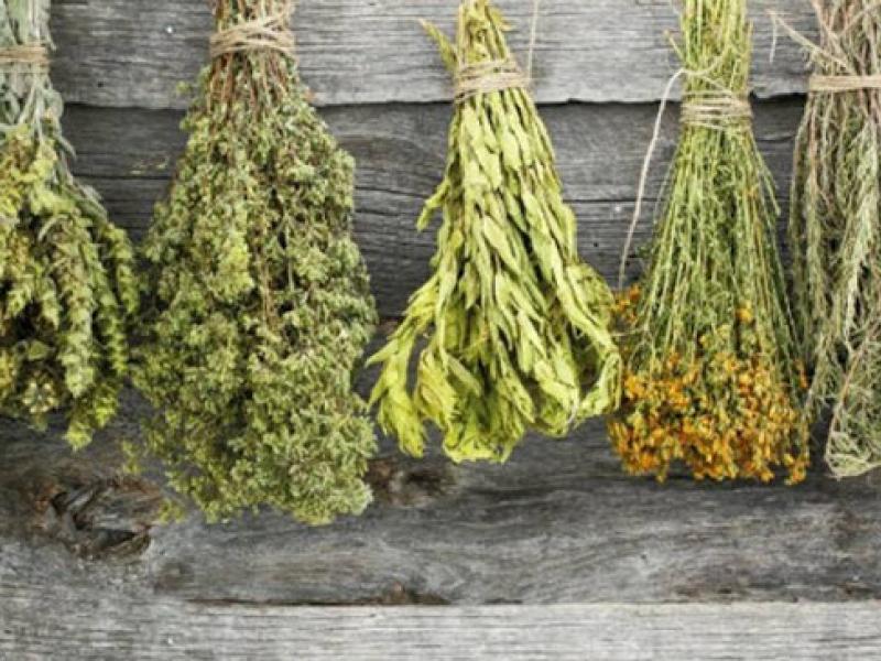 Aυτό είναι το βότανο που βοηθά στην κατάθλιψη