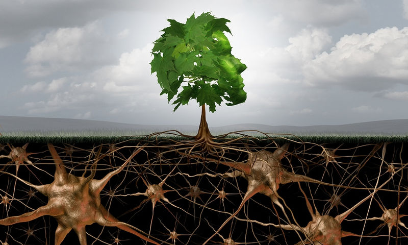 Αγγειακή άνοια: Τα συχνά συμπτώματα που πρέπει να προσέχετε