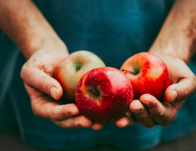 Τόσα χρόνια καθαρίζουμε τα μήλα με λάθος τρόπο