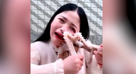 Σοκαριστικό – Χταπόδι επιτίθεται σε blogger όταν εκείνη θέλησε να το φάει ζωντανό (βίντεο)