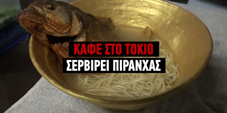Εστιατόριο στο Τόκιο σερβίρει κάτι που δε θα συναντήσεις αλλού – Στο πιάτο σου θα δεις ένα… πιράνχας (βίντεο)