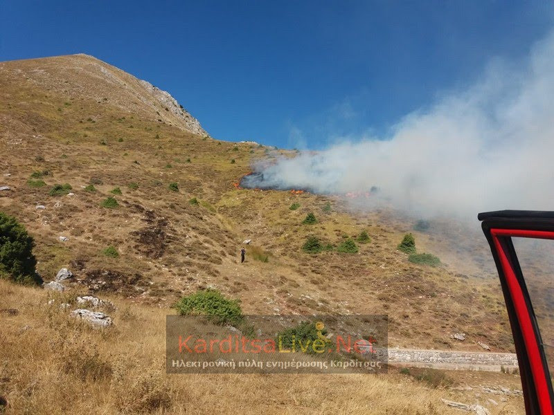 Πυρκαγιά έχει ξεσπάσει στην Καρδίτσα – Στην μάχη με τις φλόγες πυροσβεστικά οχήματα (βίντεο)