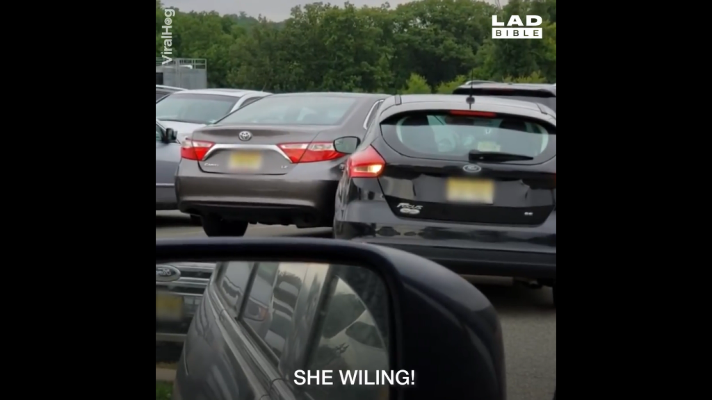 Το χειρότερο ξεπαρκάρισμα που έχετε δει (βίντεο)