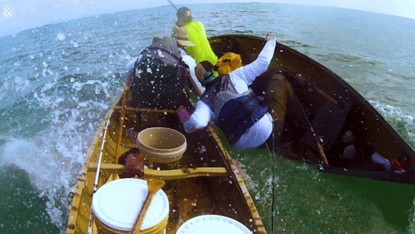 Καρχαρίας επιτέθηκε σε βάρκα με 4 ψαράδες (βίντεο)